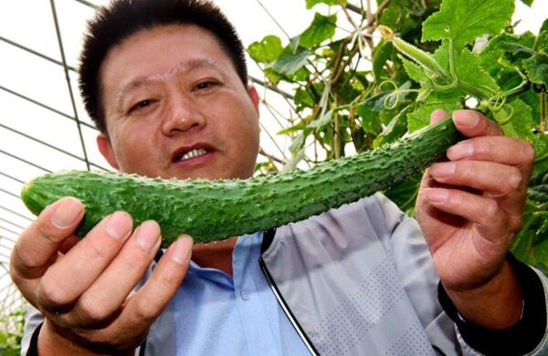 生鮮食材配送為什么大多不能與客戶建立長(zhǎng)期合作？